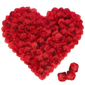 yzTRX 1000Zbg Ԃт o KN    v|[Y LO a }`bNȖ o^Cf[ z[p[e ̉ Be oɃ[Y j (