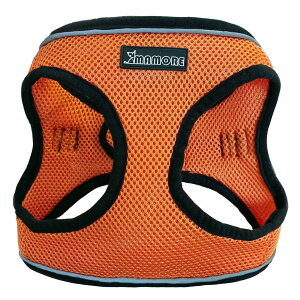 yzMAMORE  bVn[lX L̓ ʋC Ȃ \tg ^ ^ ` Č  Ȃ (2XS, IWOrange)