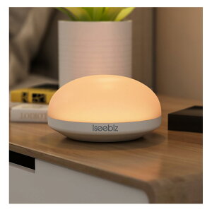 yzCg iCgCg xbhTChv Iseebiz Cg  ނւp ԐڏƖ u^ ڂɗD  铔 v[g Mtg