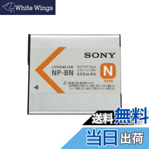 �y���������zSONY(�\�j�[) ���`���[�W���u���o�b�e���[�p�b�N N�^�C�v NP-BN