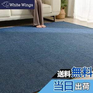 �y���������zSun Deco ���O �J�[�y�b�g 2�� ���O�}�b�g �w�����{�[���� ������� ����~�� �􂦂� �t �� �I�[���V�[�Y�����K ���r���O�}�b�g �k�� ���ی� �z�b�g�J�[�y�b�g�Ή� ���n 185x185cm �l