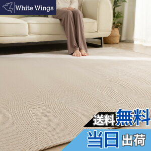 �y���������zSun Deco ���O �J�[�y�b�g 2�� ���O�}�b�g �w�����{�[���� ������� ����~�� �􂦂� �t �� �I�[���V�[�Y�����K ���r���O�}�b�g �k�� ���ی� �z�b�g�J�[�y�b�g�Ή� ���n 185x185cm �x