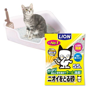 yzCI LgC jICƂ鍻 RpNgR[i[^LgC + jICƂ鍻  5.5L×1܃Zbg {1䉞Zbg L͂zn qL L VjAL 