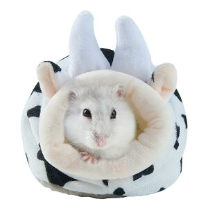 yzLIKENNY ~pnX^[NbVxbh gnX^[nEX Q Vя xe g h ۉ ~t p Q 􂢉\