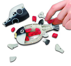 yzKnEX(MegaHouse) !!gtÕpY PVC