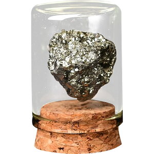 yzHIGHAWK ΕW{ VR KXJo[ z ho u I[ig W W{{bNX e[u RNV nȊw i ipCCgSj