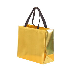 yzPAPERIST 10Zbg S[h MtgobO ߃TCY 񂰎 Vv n F (30×23×12cm)