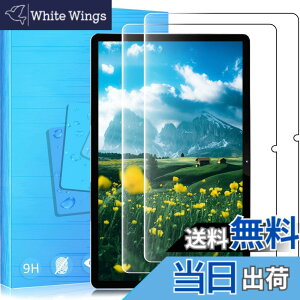 �y���������z�y2���Z�b��p�K���X�ی�z2020�N���� NEC LAVIE Tab T10 (T1055/EAS,TAB10/F02) �Ή� �^�u���b�g 10.1�C���` �p�̃K���X�t�B���� �d�x9H ���{���f�ވ��Ɏq�� ���^0.33mm ��U�h�~ ������ �ϏՌ�