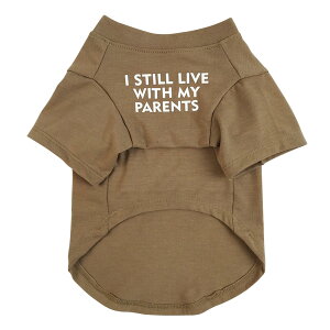 yzJimjis  t  H ~ ̕ ^Ngbv ybg   L    hbOEFAm L̕ ʋC Lk U o  ѕی  J[L XL