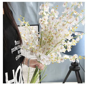 yzsiawadeky  x闖 8 IVW[ A[gt[ ԑ ԕȓ tFCN t[  lHϗtA u[P ͂Ȃ bsv  ʐ^Be j JXj