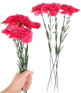 yzsiawadeky J[l[V  16{Zbg ͂Ȃ VNt[ lHϗtA J[l[Vԑ bȂ t[AWg ʐ^ CeA  ̓ 