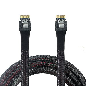 yzNFHK SASP[uPCI-E SLIMLINE SAS 4.0 SFF-8654 4I 38szXgSFF-8654X