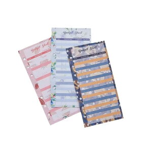 【送料無料】LAPOND 家計簿手帳専用 予備予算シート バジェットシート カラープリント(12枚入り)