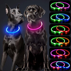yzKpuplol  LED  Cg U q  pP ^A^A^p ybgpiTPUޗ[500m悩ڎ\] ybg  S h X[ ~fBA