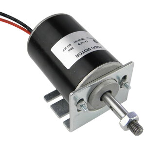 yzCHANCS PermWanentivC[^24 V 7000 RPM 30 WCW/CCWt[^[^tuPbgŒV[guPbgDIY