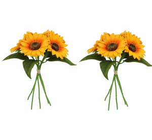 yzsiawadeky  Ђ܂  1010 ԑ lHϗtA u[P ͂Ȃ ʐ^Be  a j v[g  Ԍ|p LO 