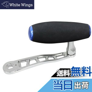 �y���������zWATACHAMP���^�`�����v �J���r�A���iCaribbean�j �W�M���O��p�x�C�g���[�� �啨�p ���o�[�h���O���[�� �p���[�n���h�� �S�g���������@�B���H �M�A��5.3:1 �ő�h���O��20kg~40kg �� �E