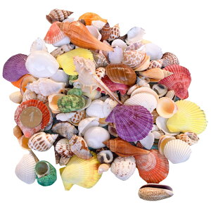 yzsiawadeky Jt Lk 500g A\[g Zbg VRf ~bNX r[`VF //A/htg{g  r[` DIYp ӏܗp WG[ ANZT[p[c 