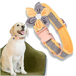 【送料無料】Kalevel 犬 散歩 首輪 洗える 痛くない カラフル 軽量 小型 キラキラ 首輪 おしゃれ 犬 チョーカー 小型犬 訓練用 調節可能 ベルベット