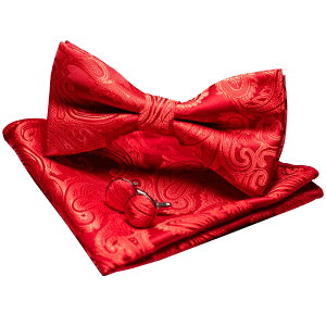 yz[JEMYGINS] uWF~MY lN^C Y ԐF VN yCY[ tH[} rWlX  v[g JtX {^ nJ` Zbg(2)