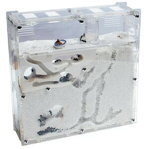 yzEXDUCT A R P[X Zbg   ώ@ Ȃ Lbg A 