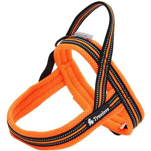 yzIKENOKOIpn[lX p 3Mˍޗ ʋC ߉\ U o ^A^A^ɌiIW M 58-76cmj