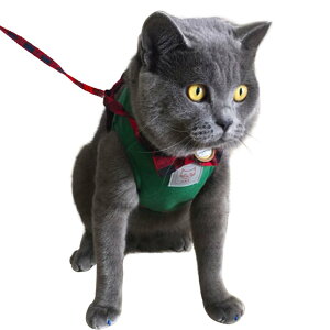 yzIKENOKOI Lpn[lX [v  p[h Up o ȒPE ʋC fUC(O[ L)