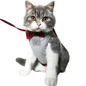 yzIKENOKOI Lpn[lX [v  p[h Up o ȒPE ʋC fUC(O[ XL)