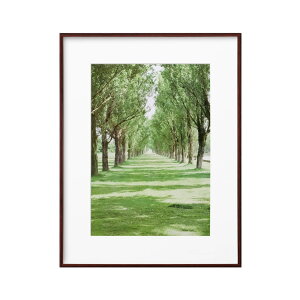 yznNo HAKUBA y z ZEROt[ G-01 A3 uE FZG01-A3BR