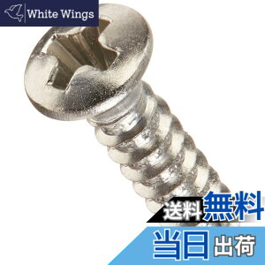 �y���������zFender �p�[�c Pickguard/Control Plate Mounting Screws (24) (Chrome)