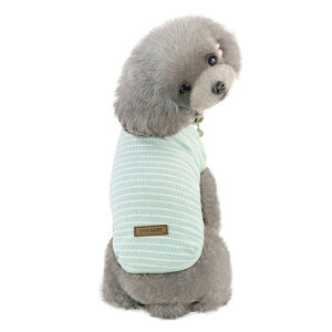 yzKingsie  TVc ėp ̕  XgCv xXg hbOEFA ^ L ybg tďH o U (M, O[)