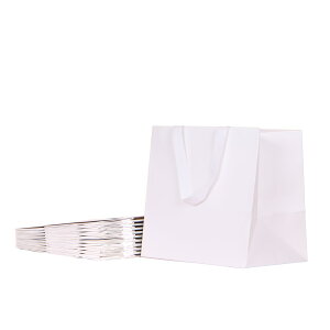 yzPAPERIST 10Zbg zCgNtg MtgobO L }`L XNGA^ 񂰎 Vv n (30×30×23cm)