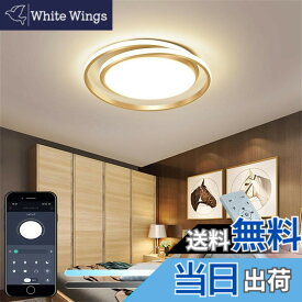 【送料無料】KOVOL LED シーリングライト 10畳 12畳 14畳 おしゃれ 北欧 照明器具 天井 「APP遠隔制御 無段階調光調色 引っ掛対応 工事不要 日本語取説付き リモコン/スマホAPPで遠隔制御 タイミング機能」 現代のシンプルなスタイルのシーリングライト インテリアライト
