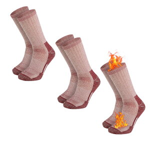 yz[Caudblor] C Y E[\bNX nC\bNX ₦ƂC ~  h oRp 3Zbg 25-28cm