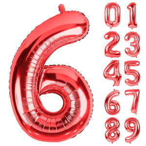 yzLausatek o[ A~D 6 io[ 40C` 傫 a nbs[o[Xf[ t  LO p[eB[ 90cm bh