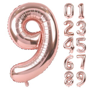 yzLausatek o[ A~D 9 io[ 40C` 傫 a nbs[o[Xf[ t LO p[eB[ 90cm [YS[h