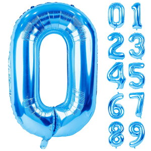 yzLausatek o[ A~D 0 io[ 40C` 傫 a nbs[o[Xf[ t  LO p[eB[ 90cm u[