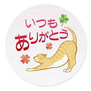 yzMtgV[ bsO V[ ˂ a3.2cm 50i5V[gj { (肪Ƃ)