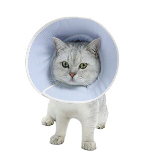 yzWuchen GUxXJ[ L  GUxX J[ \tg z y L ybgp񕜋  ybg \ rߖh~ ی LpJ[ ^ ی pPA 