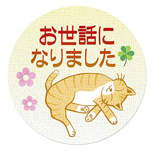 yzMtgV[ bsO V[ ˂ a3.2cm 50i5V[gj { (bɂȂ܂)