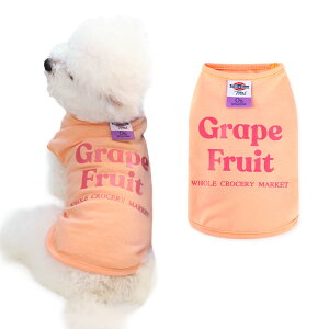 �y���������zAmzBarley �� �� �t�� T�V���c �^���N�g�b�v �� �p���v�����g �ێ� ���Ȃ� ���̕� �V���c ���^�� ���^�� �t �� ���� �V���c �ĕ� ���� �_�炩�� �J�W���A�� ������� ���� �y�b�g 