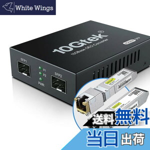 �y���������z10Gtek 10G �����f�B�A�R���o�[�^�[ G0200-SFP (Kit #31), 10GBase-T �ő�30m, SFP + SR���W���[�� 300m MMF 850nm