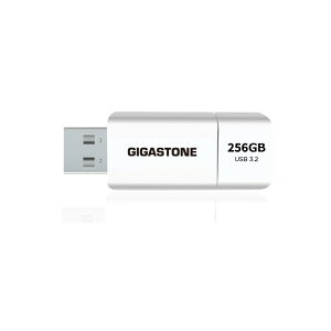 �y���������zGIGASTONE 256GB Flash USB ������ Z60 USB 3.2 Gen 1, 120MB/s�������]�� �X���C�h���L���b�v���X �f�[�^�ۑ� �o�b�N�A�b�v PC/Mac/�e���r/�ԍڑΉ� USB 2.0 / 3.0 / 3.1 �Ή�