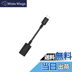 �y���������zaudioquest �I�[�f�B�I�N�G�X�g DRAGONTAIL/AD (USB-typeC) Android�pUSB�A�_�v�^�[