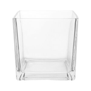 �y���������zSTOBAZA �ԕr �K���X ���� 15X15cm �ϗt�A�� �K���X�e�� �N���A �L���[�u �t�����[ �ԕr ���k�͔| �v�����^�[ �L�����h�� �z���_�[ ������ ���r���O �Q�� �e�[�u�� �Z���^�[�s�[�X �z