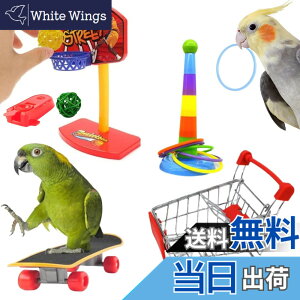 �y���������z[LUKASTR] �C���R �������� �I�E�� �y�b�g�p�i �o�[�h�g�C ���̂������� �m��ߋ� �Z�L�Z�C�C���R �I�J���C���R 4�_�Z�b�g