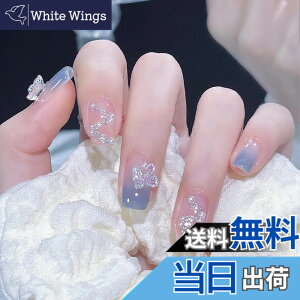 �y���������zDELUXEFOX �l�C�� �`�b�v 24������ �l�C���`�b�v �V���[�g ���� �t�� �l�C���`�b�v �l�C �a�� ���킢�� �V���v�� ������� ���l�� ���w�� ���Ǝ� ������ �p�[�e�B�[ ���퐶���Ɏg