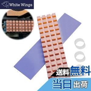 �y���������zPAVIKE ���� M.2 SSD �q�[�g�V���N �����M���\ M2 SSD �q�[�g�V���N M.2 SSD ��p�p ���M�΍� �T�[�}���p�b�h�t�� M.2 SSD ������ PC�p ���b�v�g�b�v�N�[���[�p �S���֕t�� 67*18*1.5mm