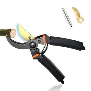 �y���������zYasoku ����΂��� �y2025�l�C��t�̂������߁z����o�T�~ ������ �}�؂�o�T�~ 2�i�K���߉\ �T�N�T�N�؂�� ����₷�� SK-85���Y�f�|�n �t�b�f�R�[�e �K�тɂ��� ���|�p�͂��� 