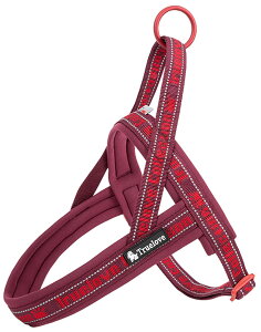 �y���������zcocomall �A�ɗD�����n�[�l�X 2022�ŐV TRUE LOVE���{�����X ���p�n�[�l�X ���p���� �h�b�O �y�b�g�p�i 3M���ˍޗ� �P�� ���o���� �l�I�v�����f�� ���^���A���^���A��^���Ɍ��� �ʋC